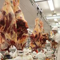 
                            La CONACOM investigará denuncia a frigoríficos sobre precio del ganado                        