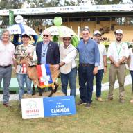 
                            Caprinos, Equinos y Jumentos se lucieron en el primer día de jura de la Expo Ganadera                        
