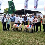 La Expo Amambay 2025 ya conoce a sus primeros grandes campeones
