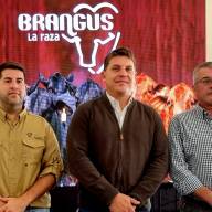 La Expo Brangus de Otoño tendrá más de 800 ejemplares en competencia