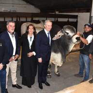 Mandatario chileno presenció la calidad de la genética ganadera paraguaya