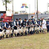 La Expo Paraguay ARP 2026 conoció a más campeones en esta jornada